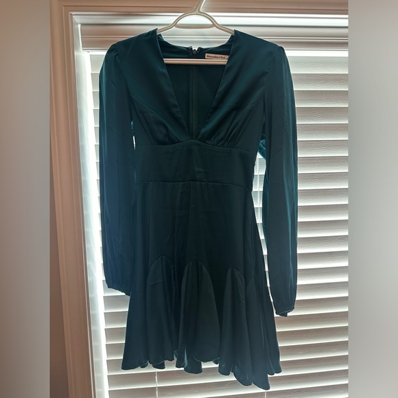 Long Sleeve Plunge Satin Mini Dress - Picture 4 of 4